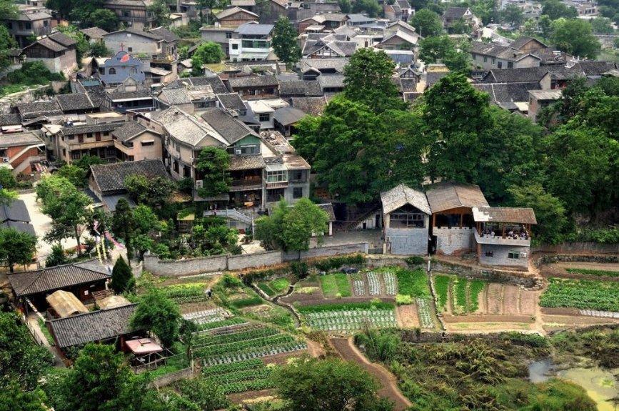 兰博基尼填颜色